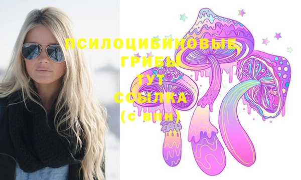 гашик Белоозёрский