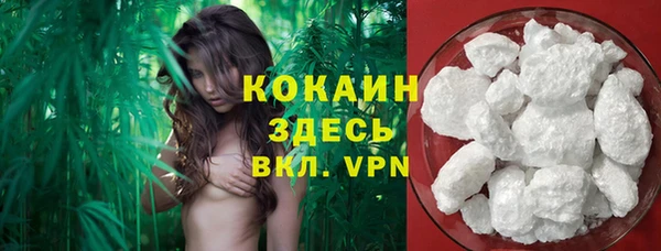 гашик Белоозёрский