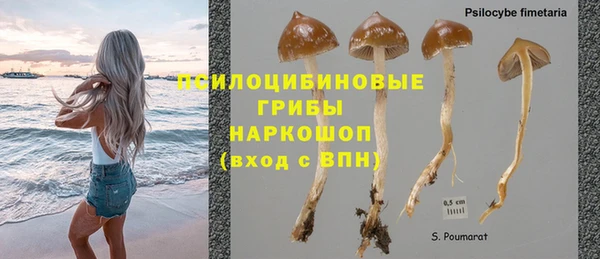 гашик Белоозёрский