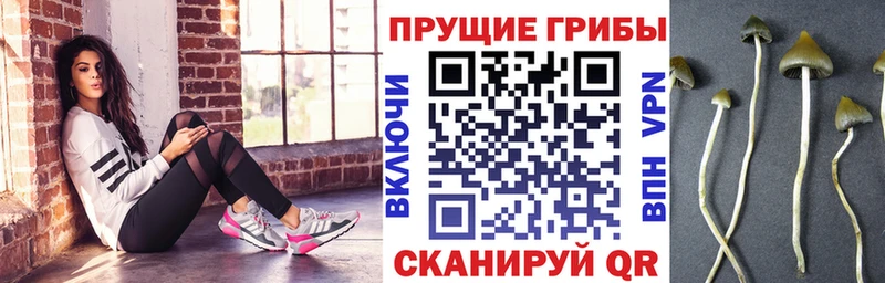 Псилоцибиновые грибы ЛСД  Вельск 